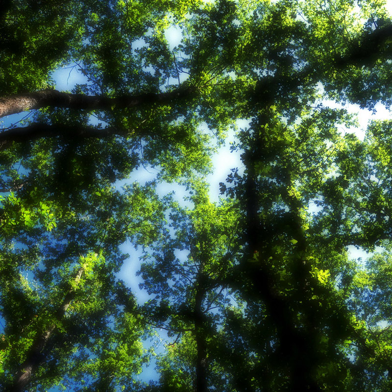 01 Dragojevic Sladjan 1NAGR